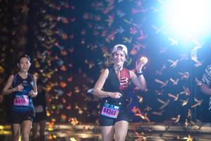 BIB: 4154, 44365, 44115
                            <button type="button" onclick="openModal(18280048)" class="btn btn-primary btn-sm float-right btn-popup" data-toggle="modal" data-target=".modal-high-quality">
                        <i class="fas fa-shopping-cart"></i> Add to Cart
                    </button>
                                            <button type="button" onclick="isThisMe(18280048, true)" class="btn btn-success btn-sm float-right btn-popup btn-isme hidden" data-toggle="tooltip" data-placement="bottom" title="นี่คือรูปของคุณใช่ไหม คลิกที่นี่เพื่อเอาเข้าอัลบั้ม">
                        <i class="fas fa-plus"></i> Add to album
                    </button>
                    <button type="button" onclick="isThisMe(18280048, false)" class="btn btn-warning btn-sm float-right btn-popup btn-isnotme hidden">
                        <i class="fas fa-ban"></i> Remove from album
                    </button>